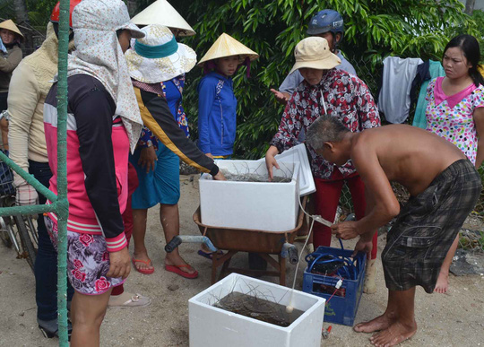 Bộ[-]NN-PTNT[-]v&agrave;o[-]cuộc[-]vụ[-]t&ocirc;m[-]h&ugrave;m[-]chết[-]h&agrave;ng[-]loạt[-]ở[-]Ph&uacute;[-]Y&ecirc;n